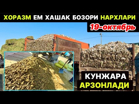 Видео: ХОРАЗМ УРГАНЧ ЕМ БОЗОРИ… НАРХЛАРИ ЎЗГАРДИ  19-октября 2025 г.