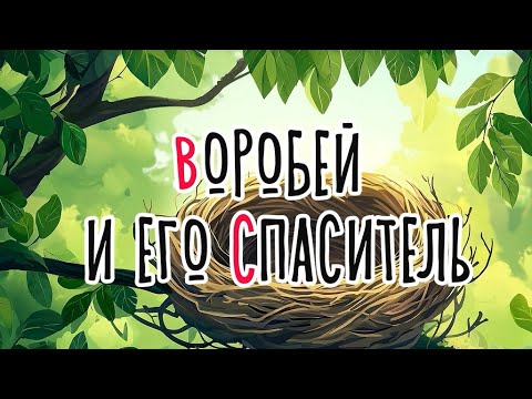 Видео: Воробей и его спаситель | Сказка на букву В | Сказочная русская азбука | Аудиосказка