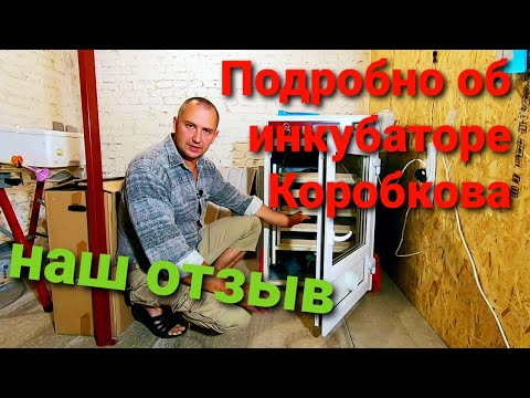 Видео: Инкубатор Владимира Коробкова. Обзор и отзыв