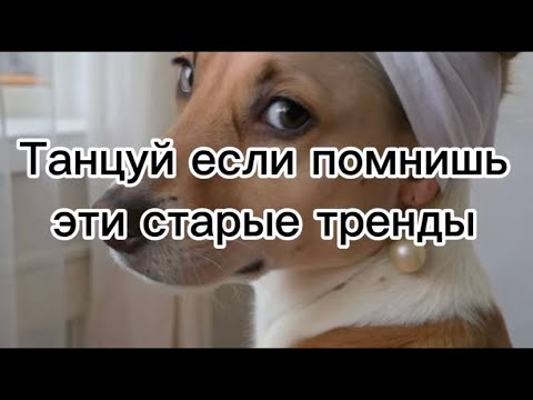 Видео: Насколько хорошо ты помнишь старые тренды? Часть 2✨#рекомендации