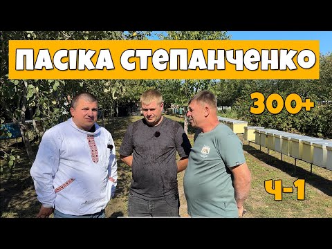 Видео: Бджільництво та заробіток 🐝 Пилок і запилення | Пасіка Степанченко