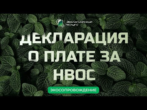 Видео: Декларация о плате за НВОС 2024