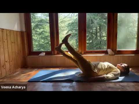 Видео: Асаны с Виной Ачария. Комплекс для позвоночника