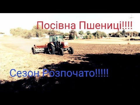 Видео: 🛑Посівна Озимої Пшениці⁉️🆘Тяжкий обробіток Землі‼️‼️