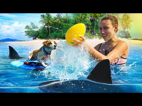 Видео: СОБАКА НА МОРЕ - Аквапарк для Собаки Джина - Кипр | Elli Di Pets