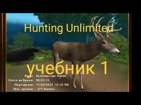 Видео: HUNTING UNLIMITED 2010. Учебник 1: управление.
