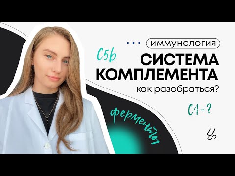 Видео: Как разобраться с системой комплемента? Иммунология