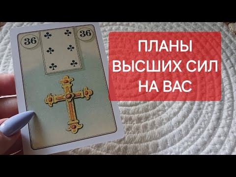 Видео: ПЛАНЫ ВЫСШИХ СИЛ НА ВАС ‼️