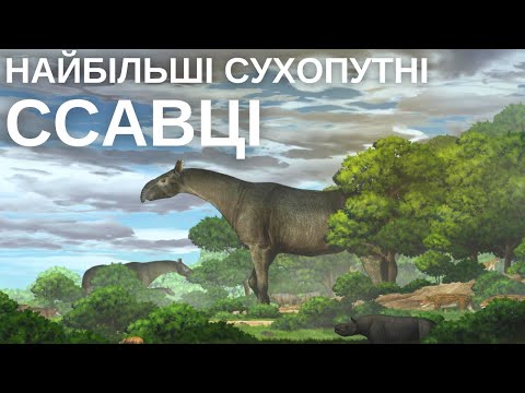 Видео: Шістнадцять дивовижних викопних решток: гриб-зомбі в бурштині, найдавніші губки та птерозавр-курка