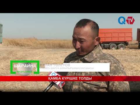 Видео: ҚАМБА КҮРІШКЕ ТОЛДЫ