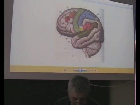 Видео: РОФЭС/МОНИКОР - в использовании при микрополяризации головного мозга