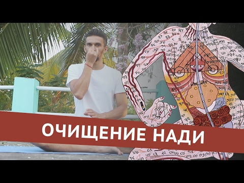 Видео: Что такое нади — ида, пингала и сушумна? Как их очистить с помощью Нади Шодханы?