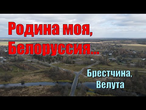Видео: Родина моя, Белоруссия... Брестчина, Велута.