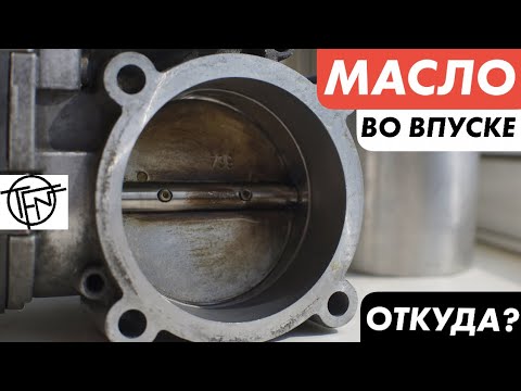 Видео: Масло Во Впуске! Причины и Последствия