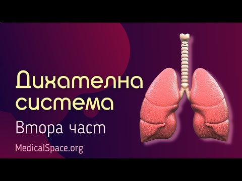 Видео: Дихателна система. Втора част