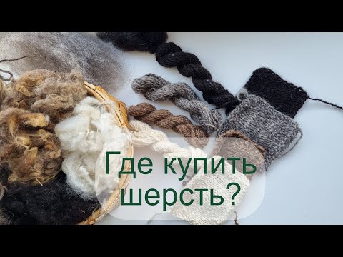 Видео: Где купить шерсть? Финский ландрас - Елена Лобачева (Псковская область)