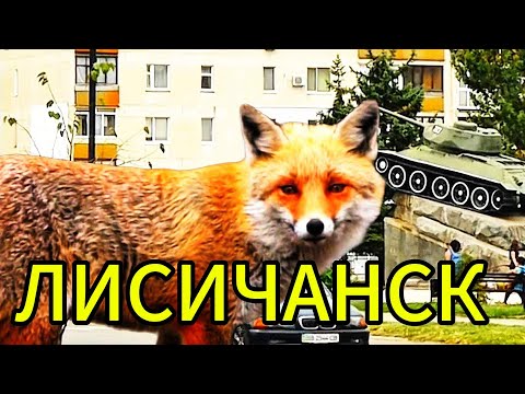 Видео: ЛИСИЧАНСК. Ярослав Ваулин & Renome music studio. НОВИНКА! Клипы 2024. ХИТЫ