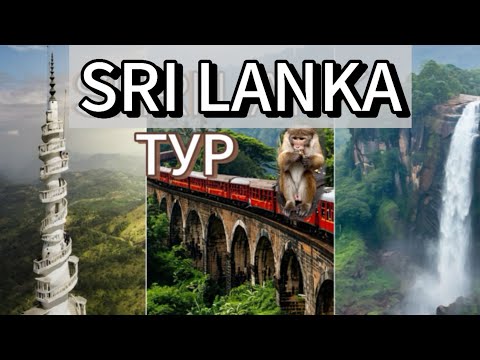 Видео: Шри-Ланка2025|Тур|первый-День