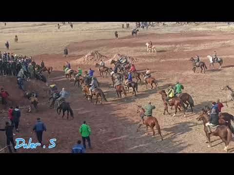 Видео: Бузкаши  н. Точикобод