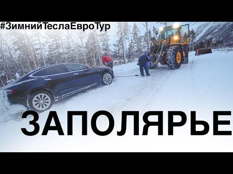 Видео: Олени, НордКап и Трактор / Тесла за Полярным Кругом
