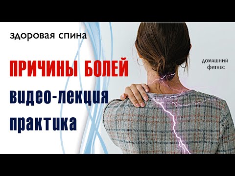 Видео: Курс "Здоровая спина"  / Лекция -  Почему болит спина и что с этим делать? / теория и практика