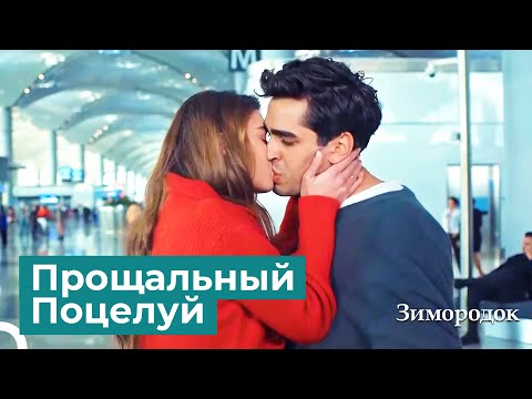 Видео: Любовный Поцелуй Сейран и Ферита | Зимородок