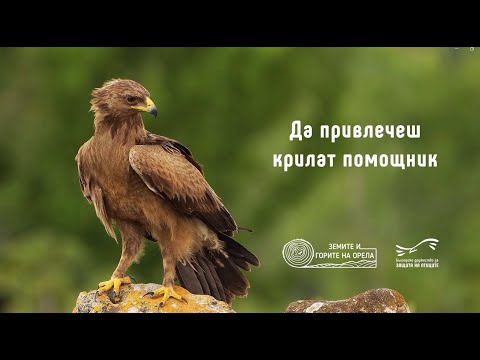 Видео: Филм, посветен на опазването на хранителните местообитания на малкия креслив орел