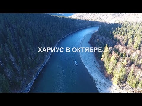 Видео: Хариус в октябре. Часть 1