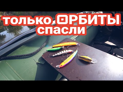 Видео: Только ОРБИТЫ выручили.  ZipBaits Orbit 110 и 90. Сентябрьская Рыбалка на реке Ворона.