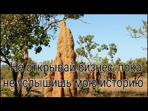 Видео: Не открывай бизнес пока не услышишь мою историю