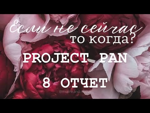 Видео: PROJECT PAN 2025 ОТЧЕТ 8
