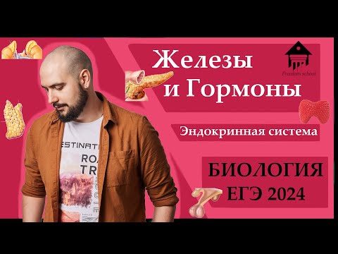 Видео: Эндокринная система. ЖЕЛЕЗЫ И ГОРМОНЫ для ЕГЭ 2024 |ЕГЭ БИОЛОГИЯ|Freedom|