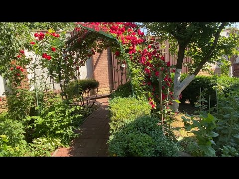 Видео: ✅АРКА - напівАРКА для ТРОЯНД власноруч🌹ОПОРА на паркан 🌻