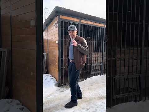 Видео: Послушная собака за 1 час.