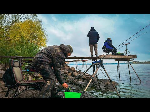 Видео: СКАНДАЛИ за місця і ЛЯЩІ Велетні на Дніпрі