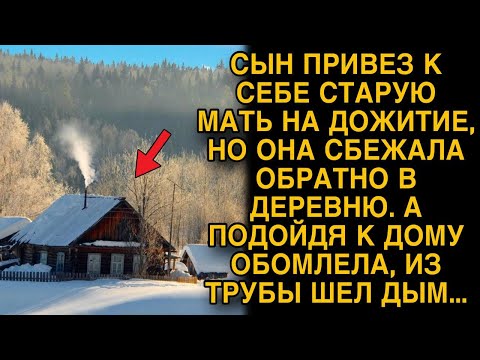 Видео: Сын привез к себе мать на дожитие, а когда она сбежала в деревню и подошла к дому - обомлела...