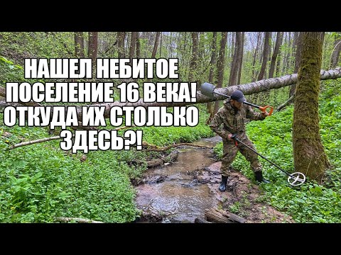 Видео: НАШЕЛ НЕБИТОЕ ПОСЕЛЕНИЕ 16 ВЕКА НА КРАЮ РУЧЬЯ! Поиск золота с металлоискателем / Russian Digger