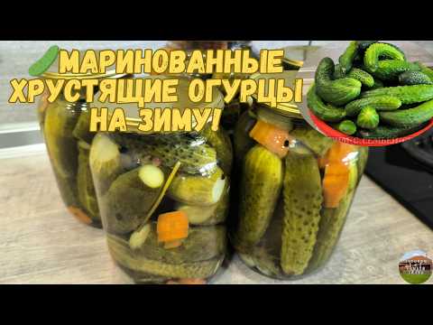 Видео: Маринованные огурцы на зиму 2025 #рецепты #заготовкиназиму #маринованныеогурцы #огурцыназиму