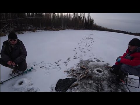 Видео: ОКУНЬ ДОЛБИТ ИЗ ПОДО ЛЬДА НА 20 СМ!!! СУПЕР РЫБАЛКА ПОЛУЧИЛОСЬ!!! Зимняя рыбалка 2025--2026!!!