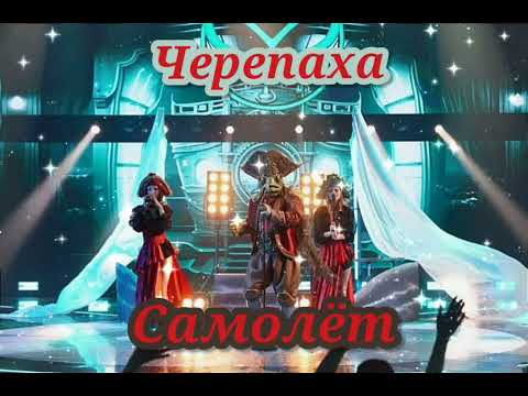 Видео: ❤🐢|Черепаха - Самолёт|[Спецвыпуск]🐢❤