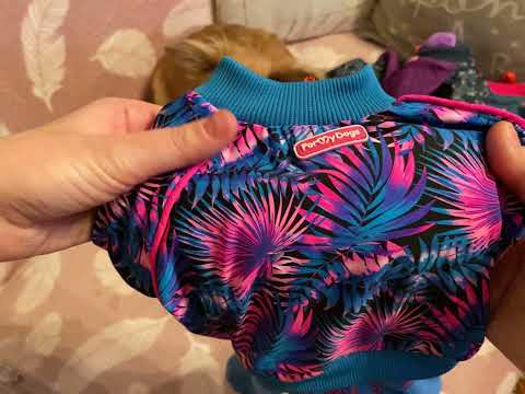 Видео: Formydogs. Распаковка посылки 📦 для моей собачки 🐶❤️