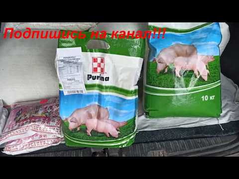 Видео: Пурина!!!БМВД. Приготовление корма для поросят и свиней.