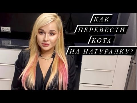 Видео: Как перевести кошку на мясо? Перевод на натуральное питание/Видотипичное питание для кошек