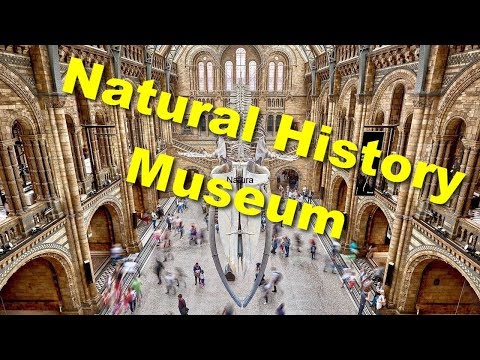 Видео: Музей Естествознания в Лондоне