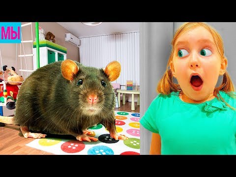 Видео: СИМУЛЯТОР МЫШИ - Катя завела питомца на Мы играем