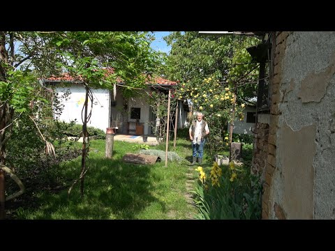 Видео: Епизод 30. За неприятелите по растенията.