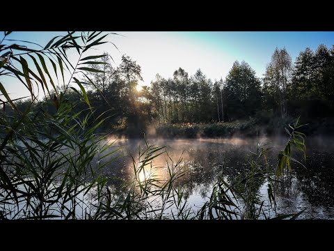 Видео: На цій ЯМІ збилась ВСЯ РИБА річки УЖ:Я під Враженням від ЦІЄЇ Риболовлі