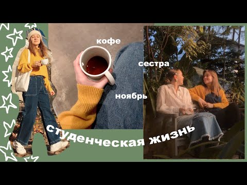 Видео: неделя из моей самостоятельной жизни | питерские дневники.03