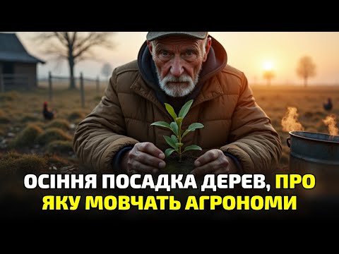 Видео: Как правильно сажать деревья и кустарники осенью, чтобы весной всё прижилось без потерь