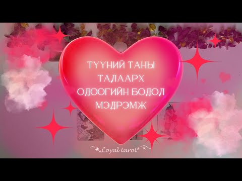 Видео: 💗💕🫧 Таны бодож буй хүний одоогийн бодол мэдрэмж ямар байна вэ? 🫧💕💗 /Нэмэлттэй/
